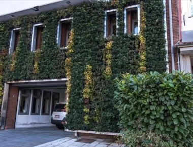 Ο πρώτος κάθετος κήπος σε δημόσιο κτήριο στην Ελλάδα- Δείτε σε ποιά περιοχή